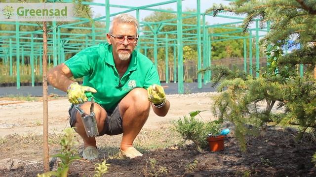 Конус посадочный смотреть онлайн
