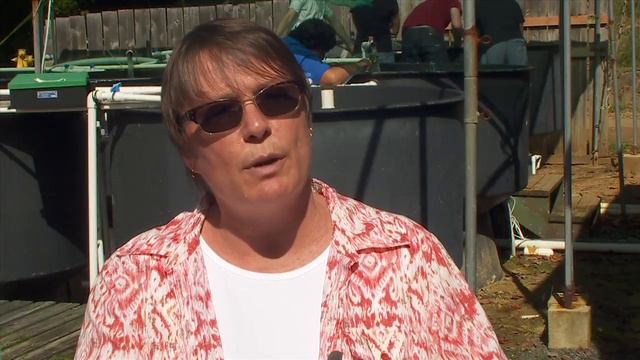 UH On The Forefront Of Coral Bleaching Research