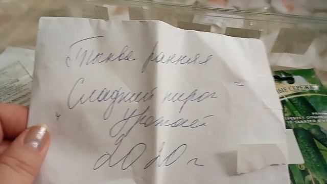 Замочила семена огурчиков?,арбузов?, дыни и тыквы смотреть онлайн