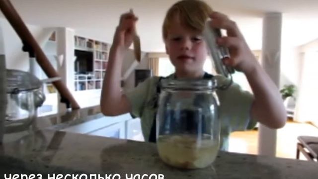 Биостирка из каштанов смотреть онлайн