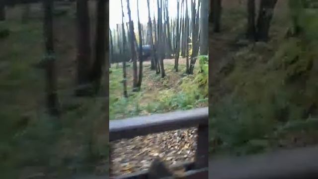 Тропарёво парк часть 1 смотреть онлайн