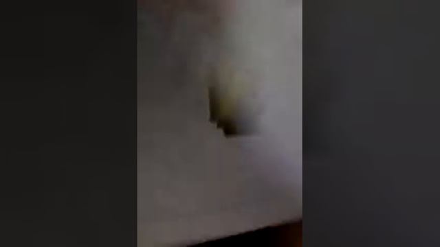 Картинки по клеточкам чясть 2 смотреть онлайн
