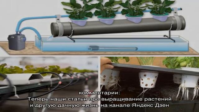 Гидропонная установка для выращивания зелени — как сделать своими руками смотреть онлайн