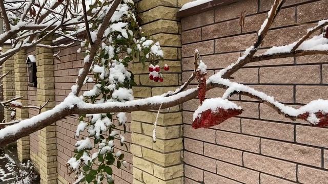 Пьём яблочный уксус