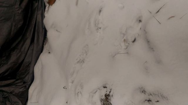 Затирка клинкерной плитки смотреть онлайн