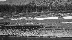 Река Лена, 1974