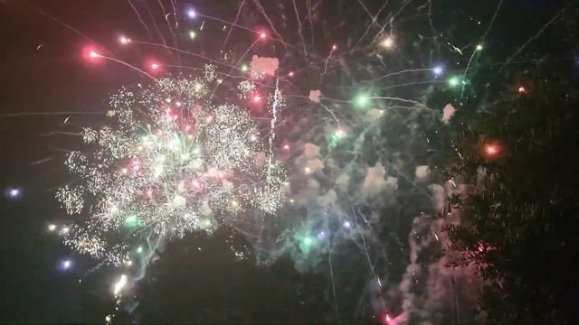 4 июля. День независимости США. Olga Polik влог. Калифорния. смотреть онлайн