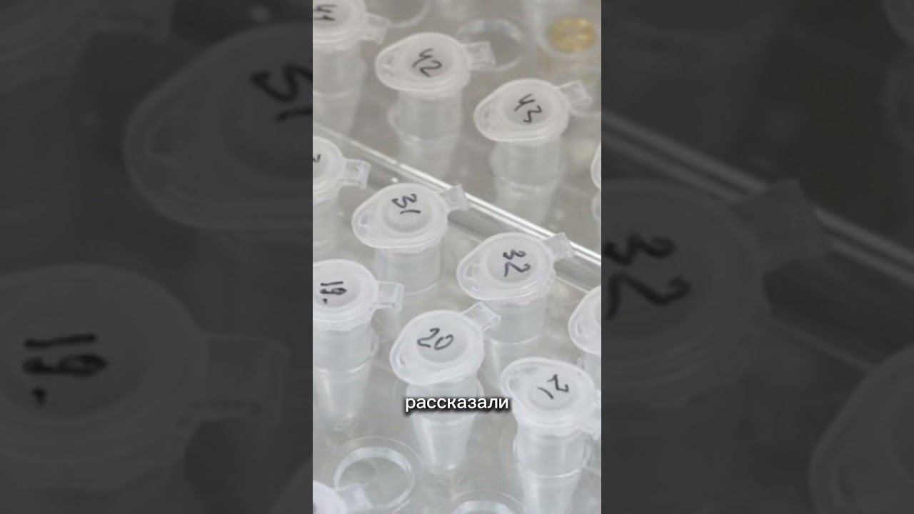 В Гомеле вынесен приговор медикам, уничтожившим почти 100 тысяч доз вакцин от COVID-19 смотреть онлайн