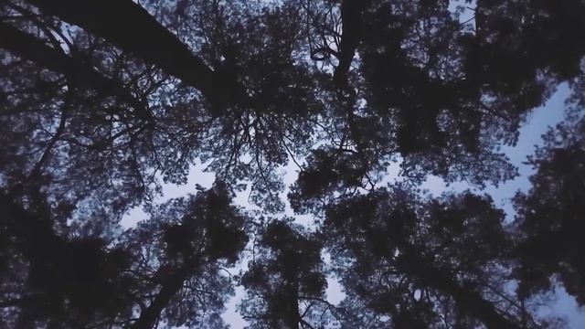 Шаманска песен за изцеление. Песента на шамана смотреть онлайн