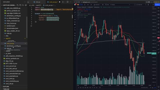 How To Use CCXT with Binance to Algo Trade смотреть онлайн