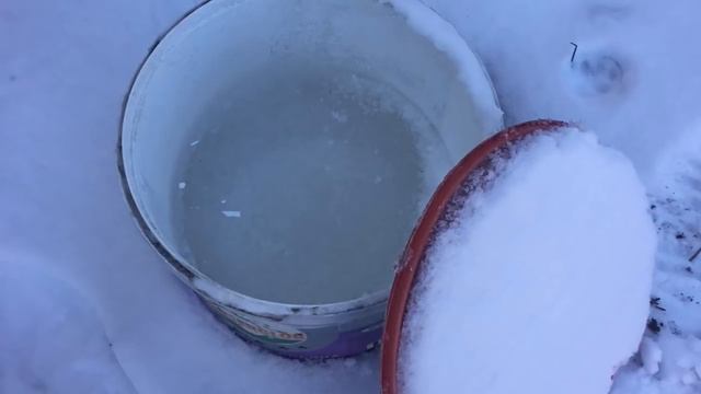 УДАРИЛИ МОРОЗЫ! А РОЗЫ? Про укрытие роз на зиму, удобрение, обрезку роз... смотреть онлайн