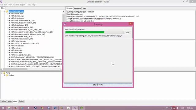 Paros Proxy Lab4 Web Scanner смотреть онлайн