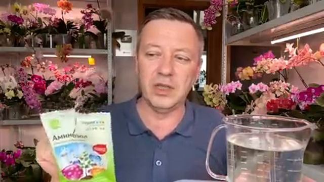 стимуляция орхидеи если орхидея не растёт смотреть онлайн
