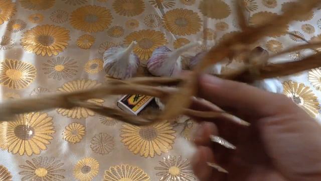 Как хранить чеснок. (Как сохранить чеснок до следующего урожая) смотреть онлайн