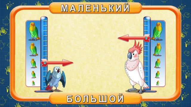 Мультипедия домашних питомцев. Попугай смотреть онлайн