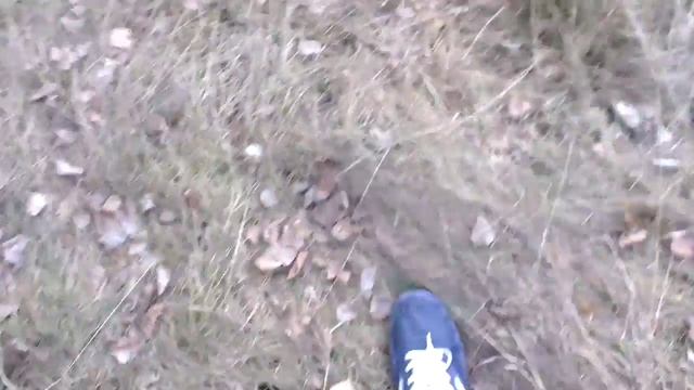 Что делать если все надоело смотреть онлайн