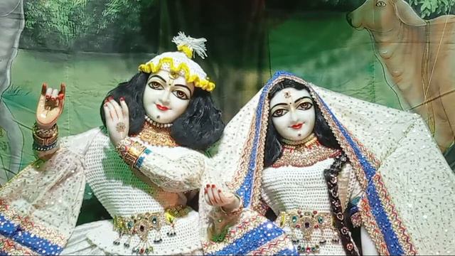 20/12/2022आज ठा. श्री# प्रियाकान्त जू भगवान के #मंगला #आरती смотреть онлайн