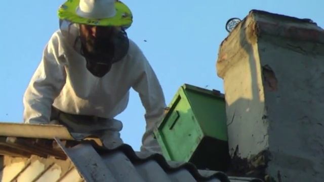 Пчелы Трубецкие (рой из печной трубы) смотреть онлайн