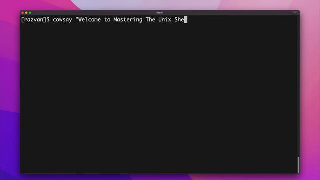 Bash for Beginners | Terminals and Shells (Introduction) смотреть онлайн