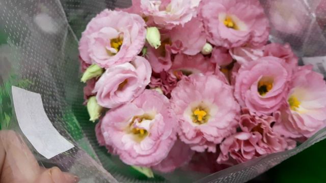 Eustoma Russell. Gevuld | Cessna Rose | Huamama