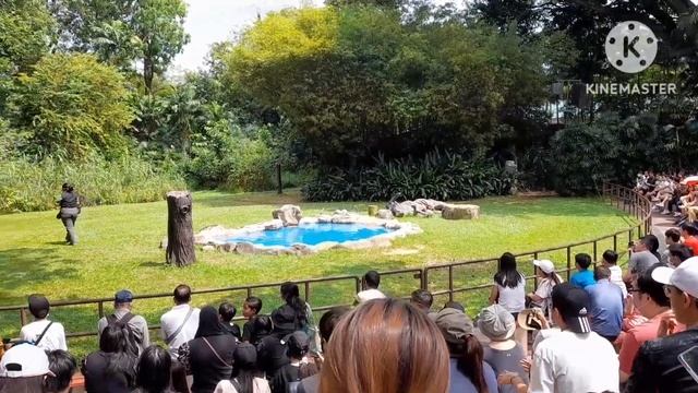 jurong bird park |jurong bird park singapore tamil|singapore смотреть онлайн