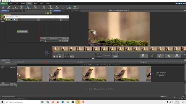 VideoPad Tutorial: How to Reverse Video in VideoPad смотреть онлайн