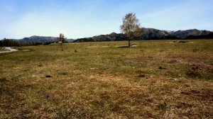 Поднятие вибраций Земли. Текущий уровень частоты Шумана.