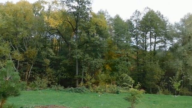 Дом среди голубых озер.Планируем новый сад. смотреть онлайн