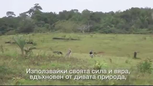 Завръщане в Амазония 2018 трейлър смотреть онлайн