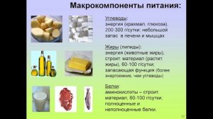 Дубынин Вячеслав - Мозг и голод: Почему нас радует еда