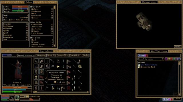 【Morrowind No.5】　Squatting Rights of the Lawless смотреть онлайн