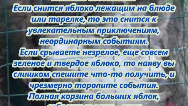 К чему снятся яблоки смотреть онлайн