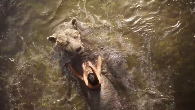Djungelboken - Bare necessities - Disney смотреть онлайн