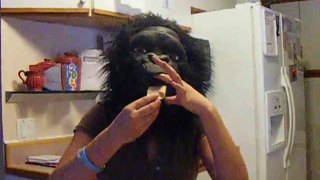 Chewie Tries Spinaroo 6000 смотреть онлайн