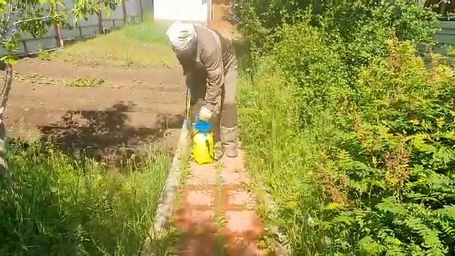 Дачный совет в борьбе с сорниками. смотреть онлайн