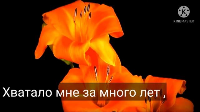 Приезжай скорей подруга. смотреть онлайн