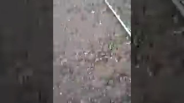 Капельный полив смотреть онлайн