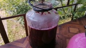 Свекольный квас второй раз, ну, точно же не для детей ?