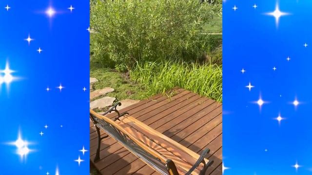 Яна Рудковская продолжила экскурсию по приусадебному участку