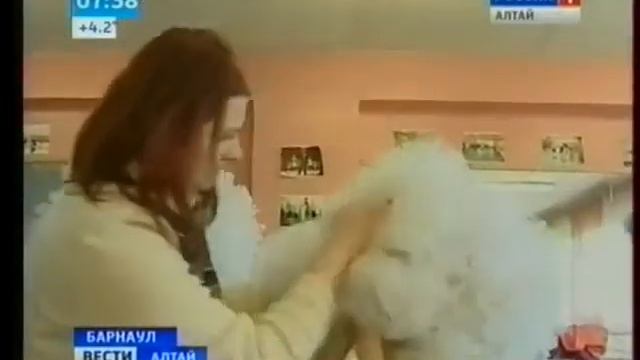 Хореографическая школа КАРАМЕЛЬ гБарнаул смотреть онлайн