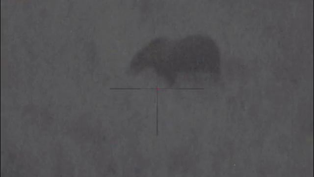 Pulsar Digisight Ultra N355. Медведь на овсах. 061 плотн туман, пол луны, S смотреть онлайн