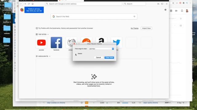 How To CLEAR COOKIES FIREFOX 2018?