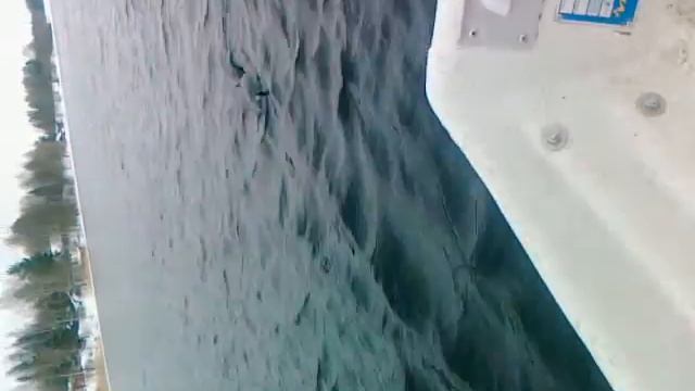 taimen 65 cm смотреть онлайн
