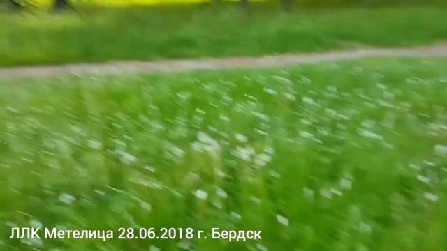 ЛЛК Метелица. Вечерний кросс. г. Бердск. 28.06.2018 смотреть онлайн