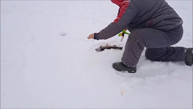 Сегодня у рыбы нет предпочтений, клюет на все!!!Клевое Место д.Савельево смотреть онлайн