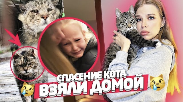 ИЗ КАНАВЫ в ПЕНТХАУС ! ВЗЯЛИ КОТЕНКА ! ТАКОЙ РЕАКЦИИ Я не ОЖИДАЛА ! смотреть онлайн