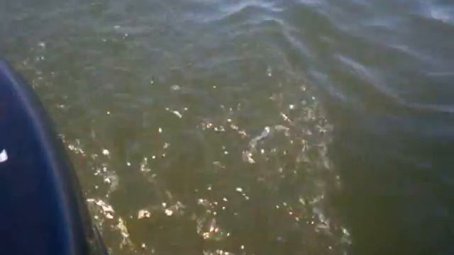 Видео 06 11 2014 смотреть онлайн