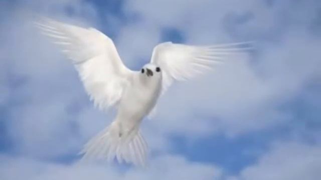 Эдуард Видный-Летите голуби смотреть онлайн