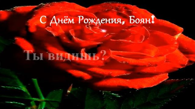 С Днём Рождения, Боян! смотреть онлайн