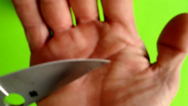 SPYDERCO PARA MILITARY 2 CPM S30V vs CPM S110V смотреть онлайн